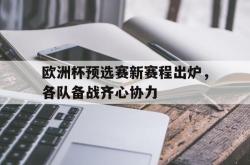 包含欧洲杯预选赛新赛程出炉，各队备战齐心协力的词条